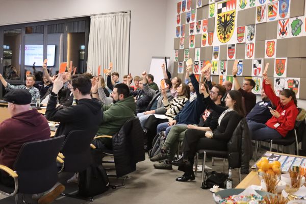 Delegierte des KJRs heben Stimmkarten hoch